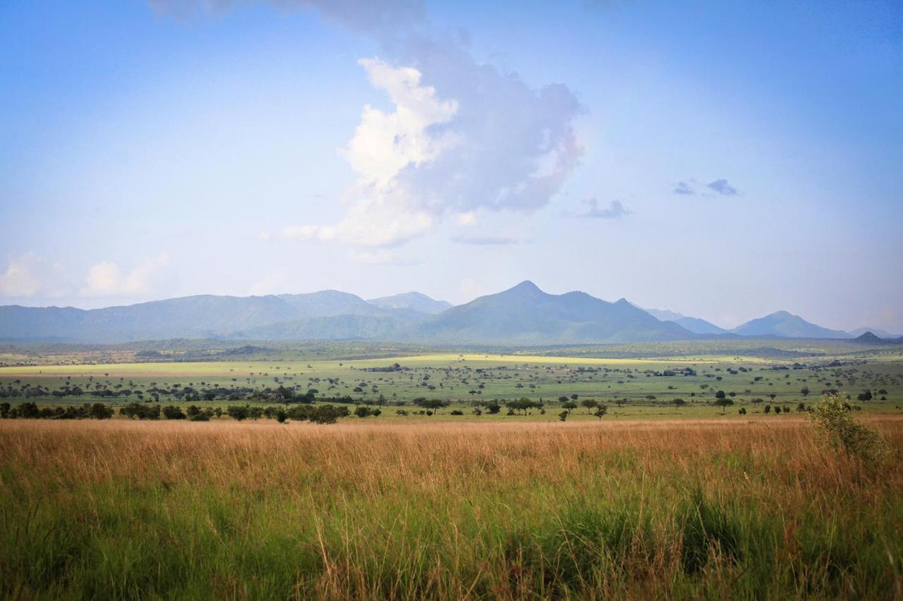 Apoka Safari Lodge Loitanit Zewnętrze zdjęcie